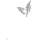 Caffenannini logo